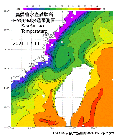 HYCOM-2021烏魚汛期-Z0-SST-水溫模式預測圖-(第四報)1211-1216
