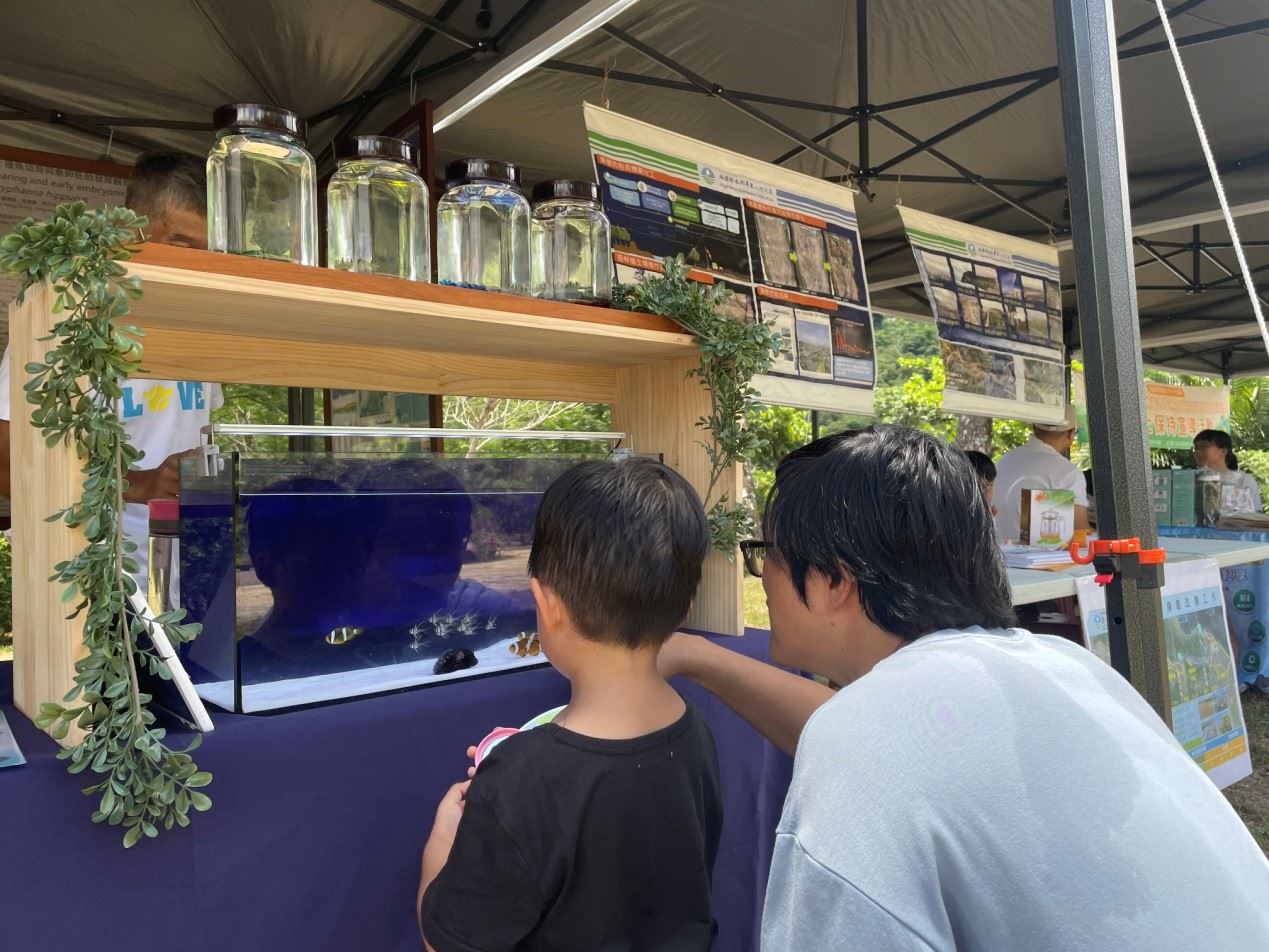 親子同樂一起觀察小丑魚及天竺鯛魚類