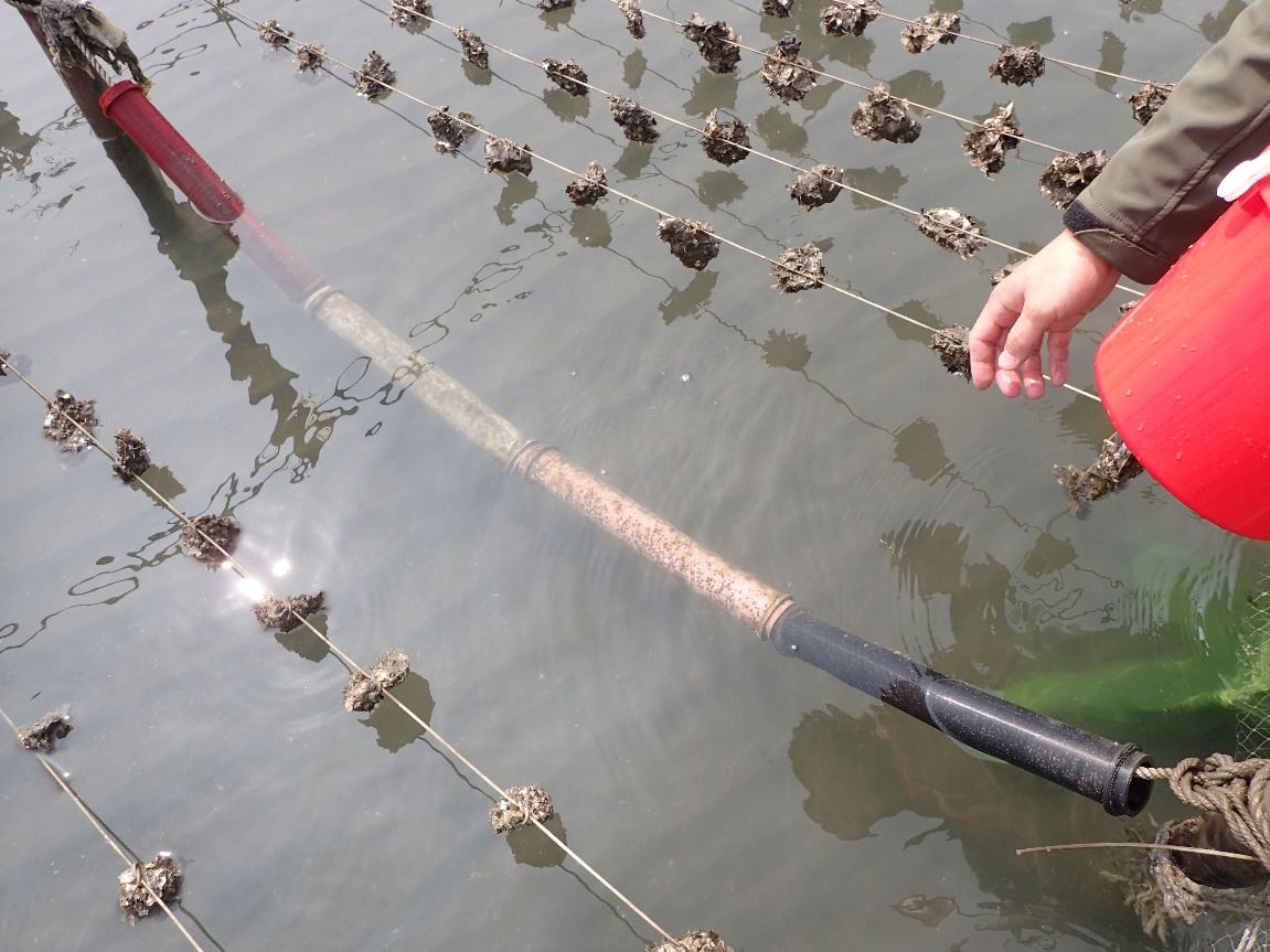 圖2、水平掛設之管狀附苗設備