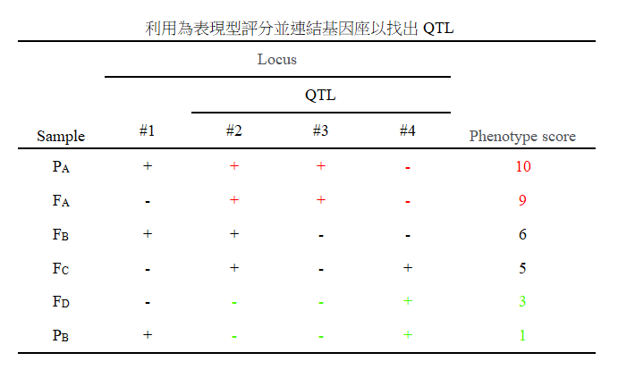 利用為表現型評分並連結基因座以找出QTL