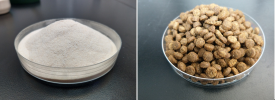 圖1、益生菌粉跟益健飼料