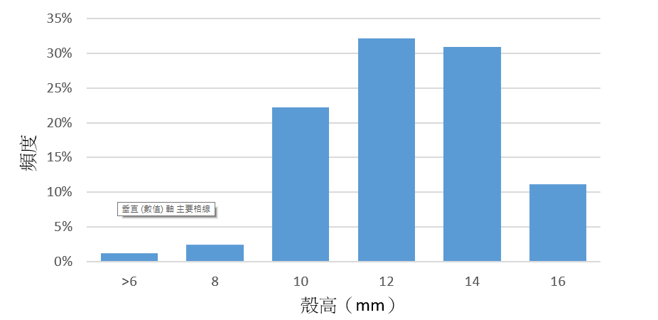 圖3、2022年11月於二崁高潮帶採獲之尖峰蛤殼高分布