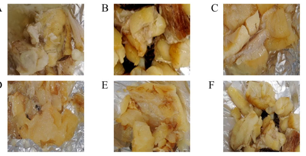 圖1、石斑魚邊角肉以不同酸化濃度結合加熱高溫處理後之肉質變化（A-E組別為低至高濃度醋酸結合加壓高熱處理之組別，並以直接加壓高熱作為對照組F