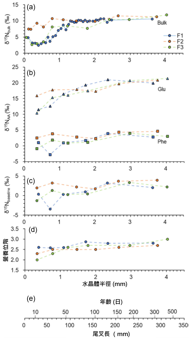 圖3、從不同的白腹鯖 (F1、F2 及 F3) 眼球取出水晶體樣本，測得 δ15N 值及年齡和尾叉長間的關係