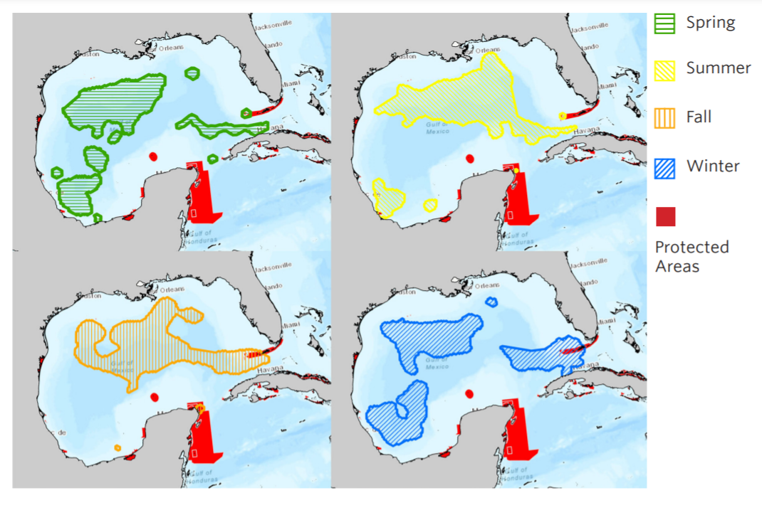 圖1墨西哥灣高度洄游鮪類Marxan 各季別最適解