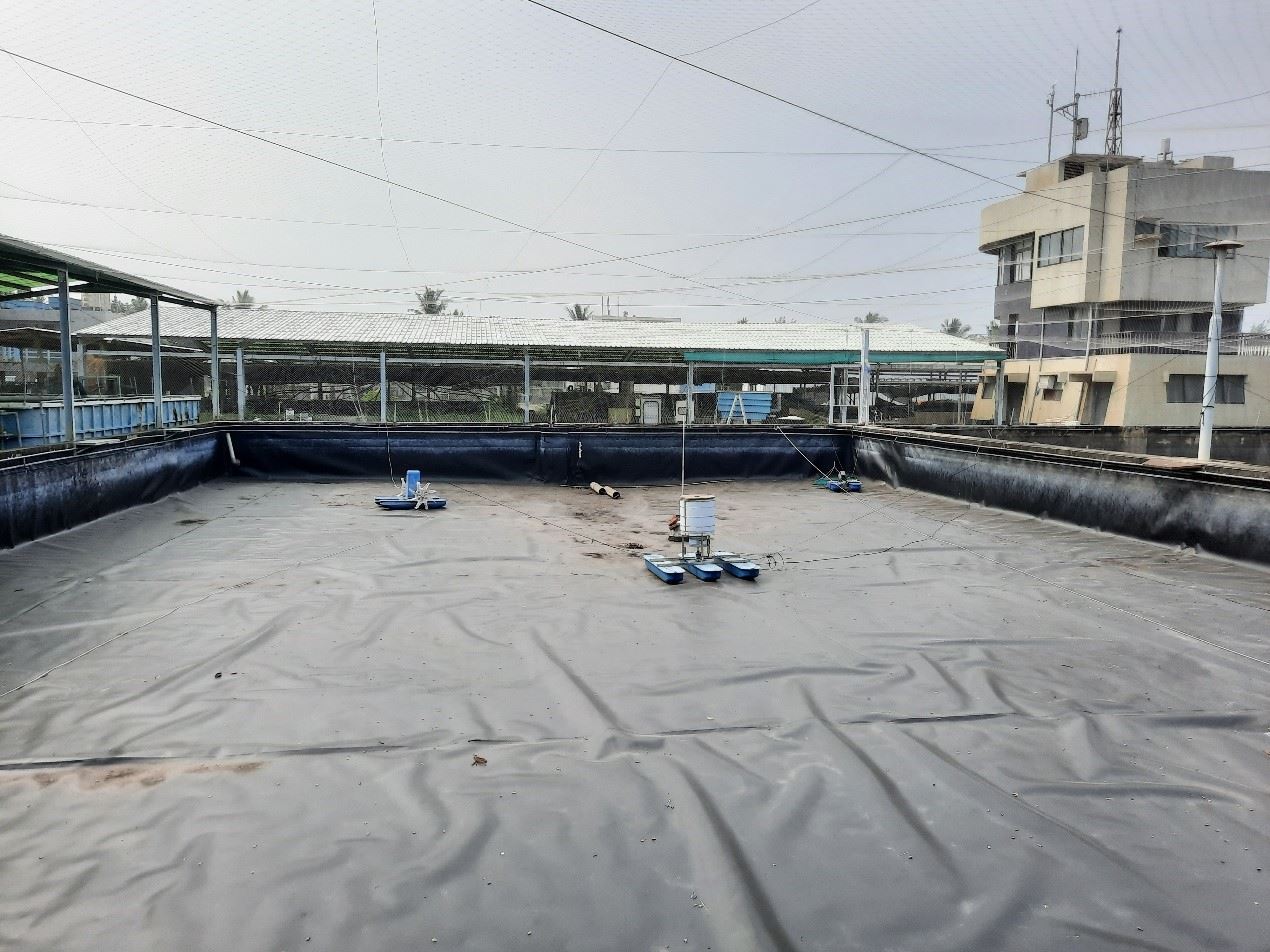 圖二、鋪設HDPE地膜的養殖池