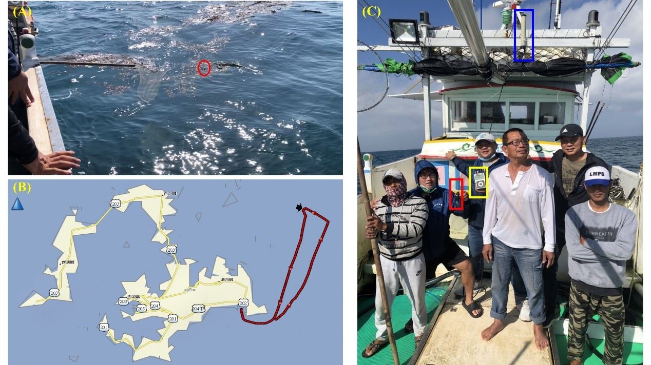 圖1、尋標過程。(A)標識器(紅色圈)於澎湖外海脫落；(B)尋標任務航跡圖與尋回標識器位置(黑色箭頭)；(C)運用衛星訊號接收器(Argos Goniometer)(黃色框)及天線(藍色框)於澎湖東北海域尋獲標識器(紅色框)。