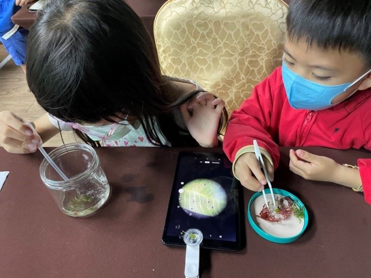 在地紮根海洋教育計畫中，使用行動顯微鏡做為觀察海草與海藻的工具