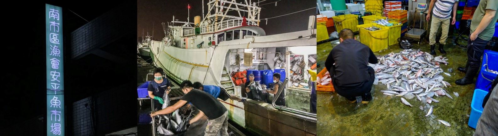 漁民將各式漁獲從漁船或是其他停泊區送至魚市場