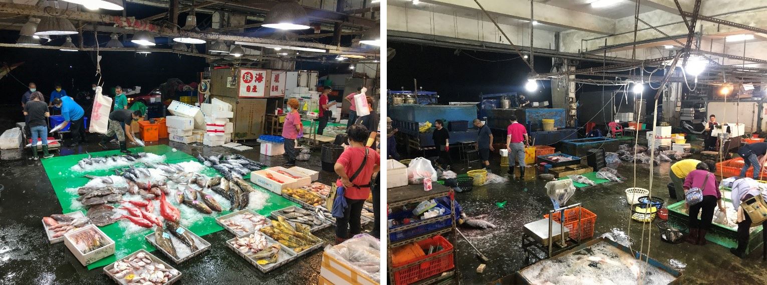魚市場中之野生（左）及養殖物種（右）銷售樣態