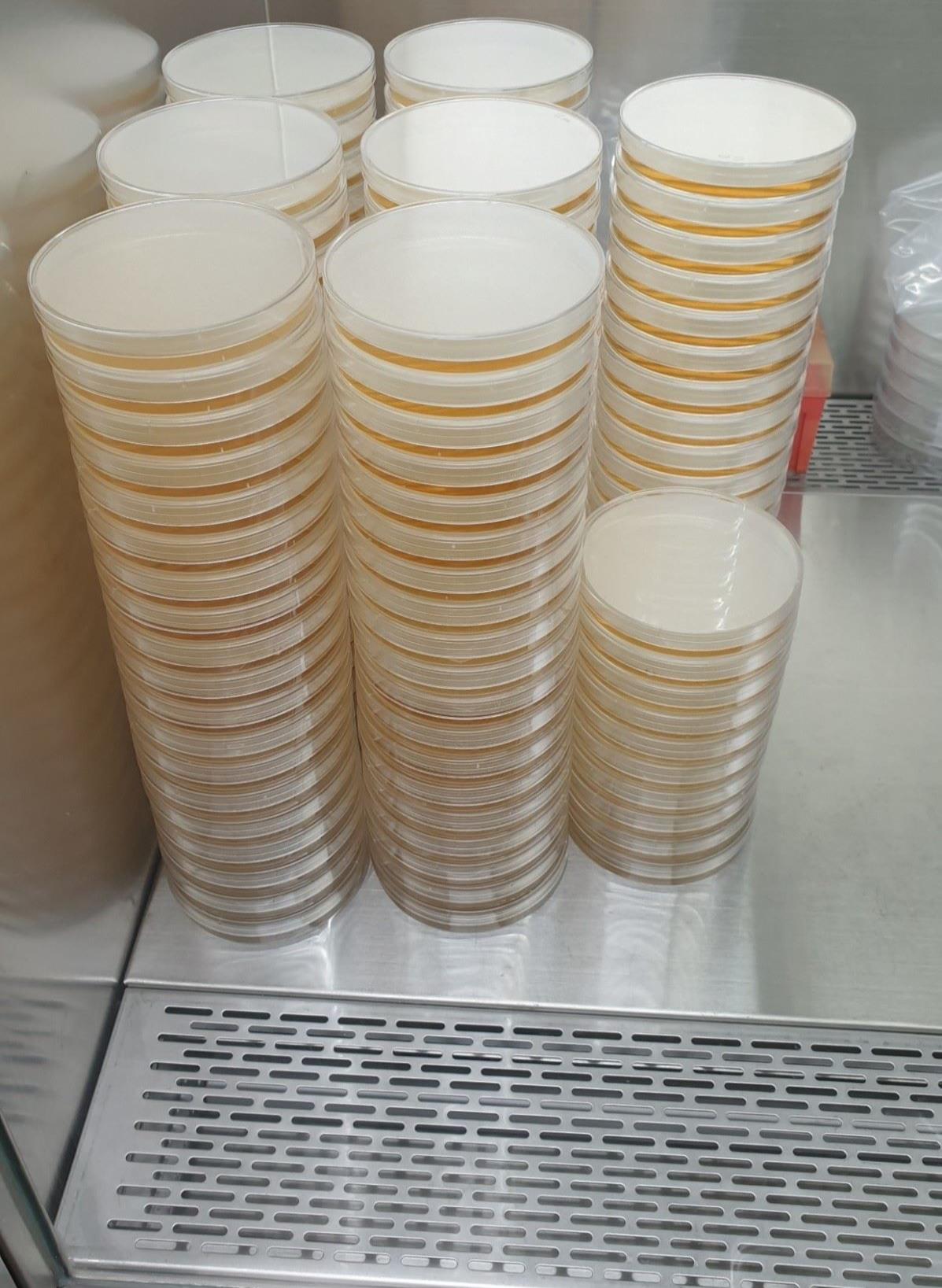 配置培養基，分析總生菌數