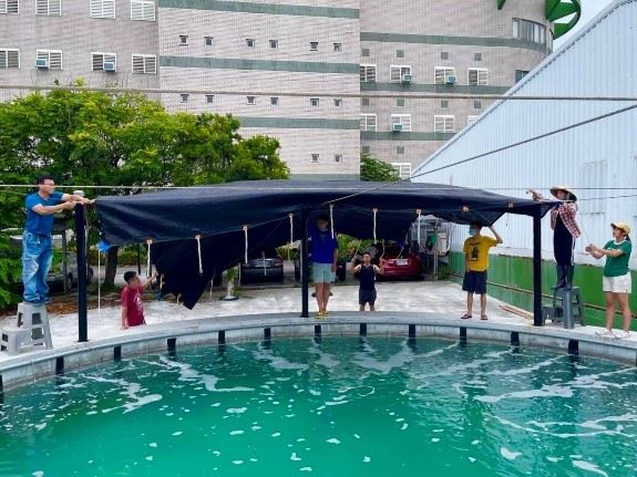 協助搭建養殖池遮陽網