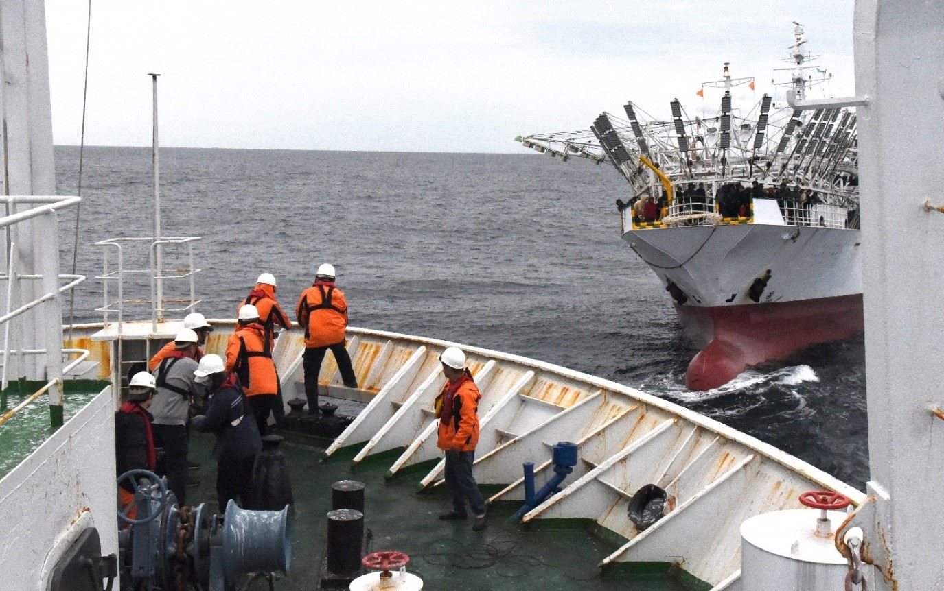 水試一號與我國籍秋刀魚漁船會合畫面