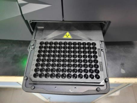 圖4、微量盤分析儀