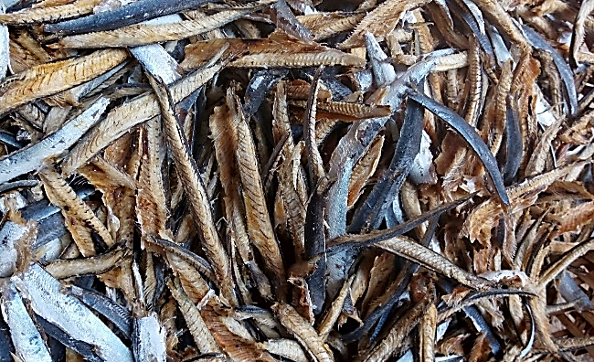 圖4、曬乾後剝下的魚肉