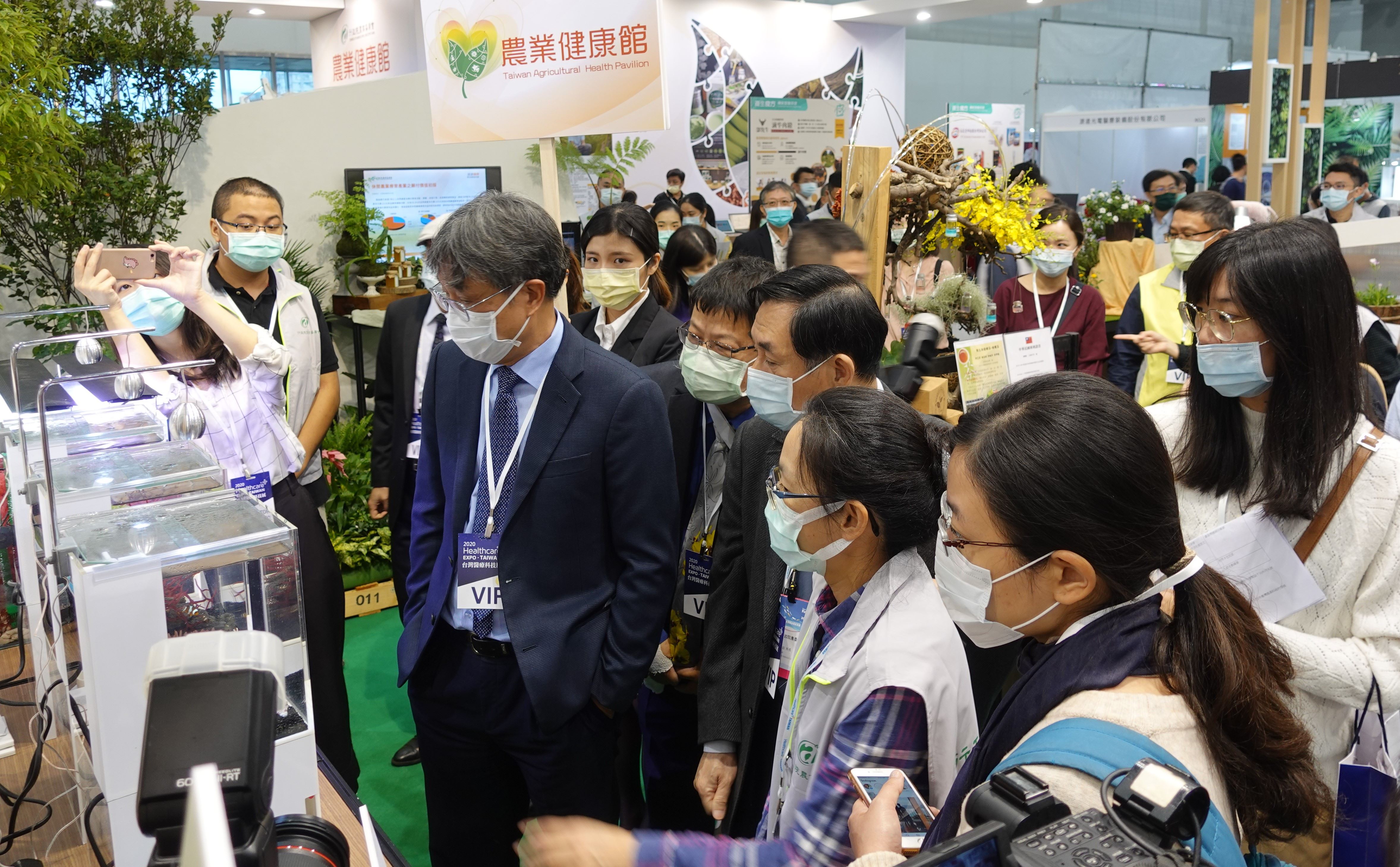 圖2療癒系海水觀賞生物