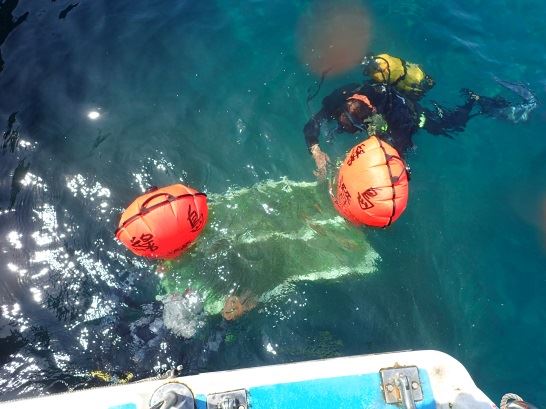 圖1、潛水員將籠具移至水下