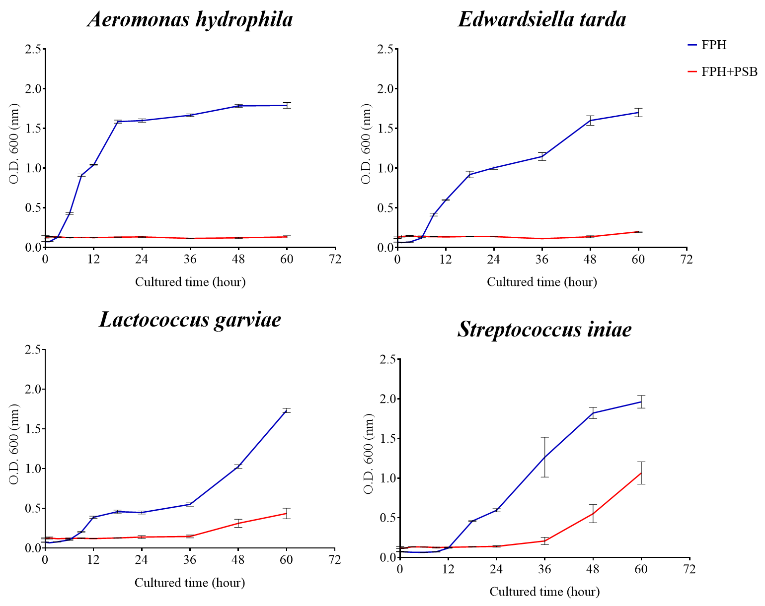 圖1、光合菌競爭性抑制病原菌試驗