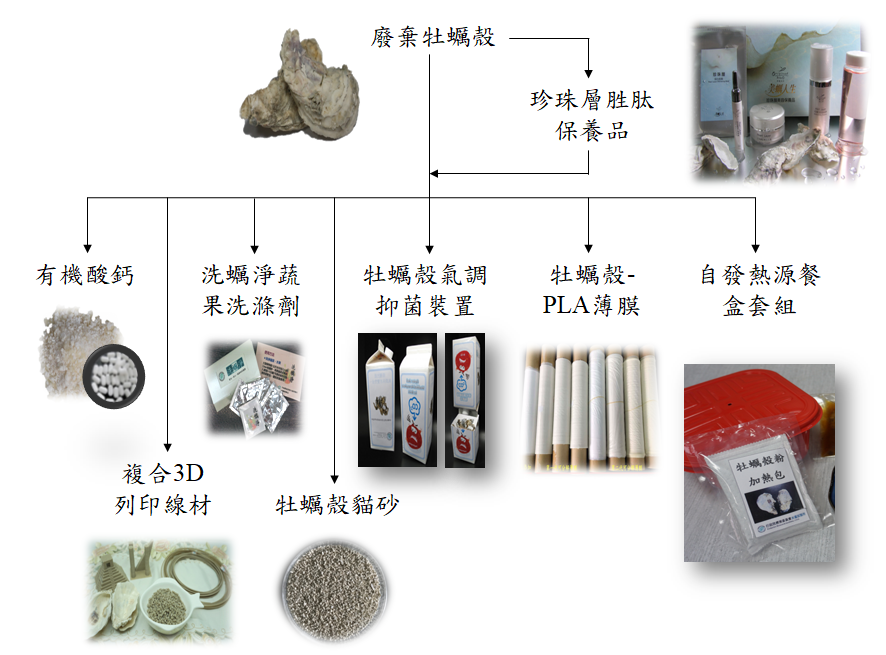 圖一、牡蠣殼的高值多元利用