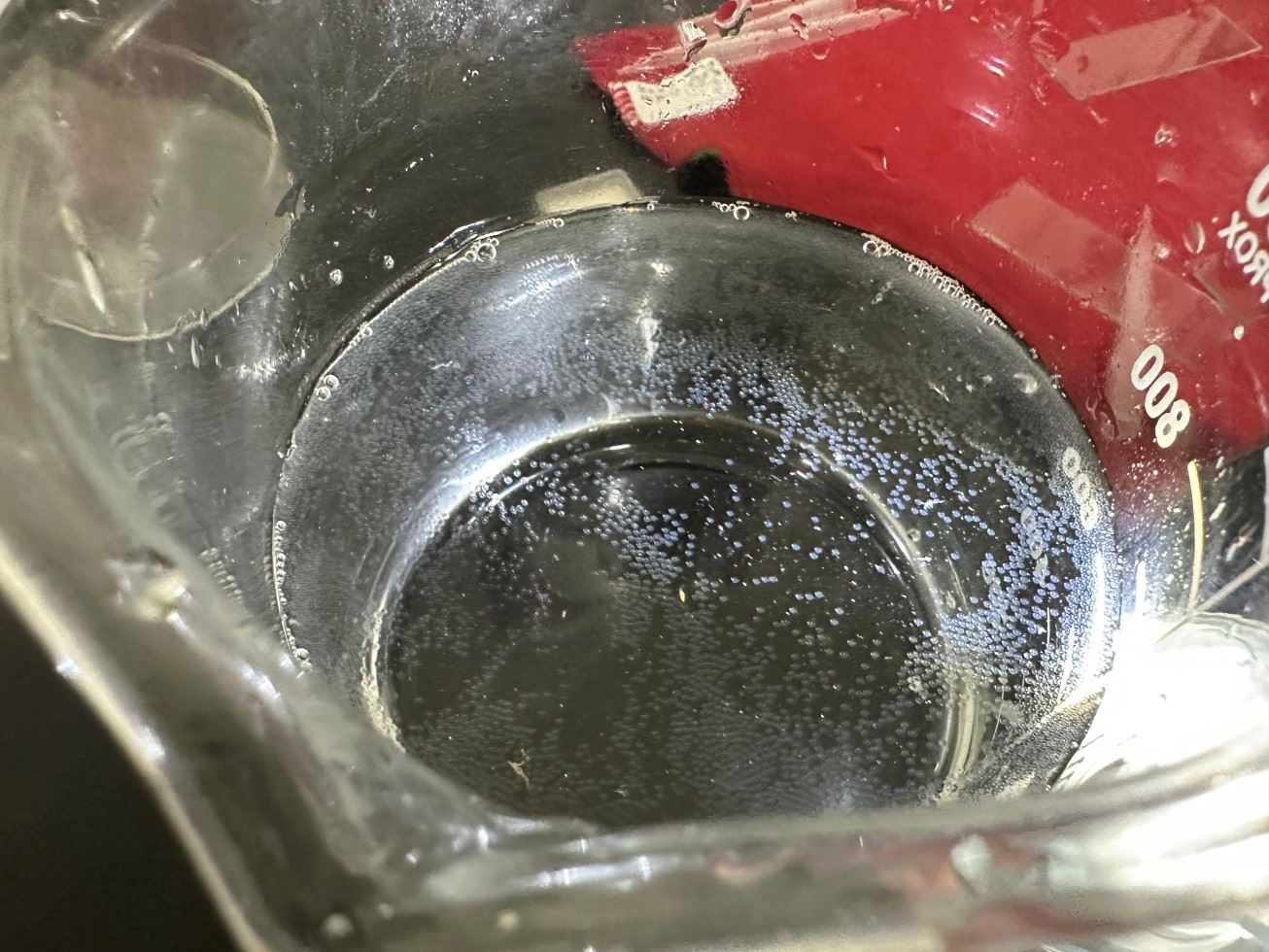 圖1、黑?所產下之浮性卵