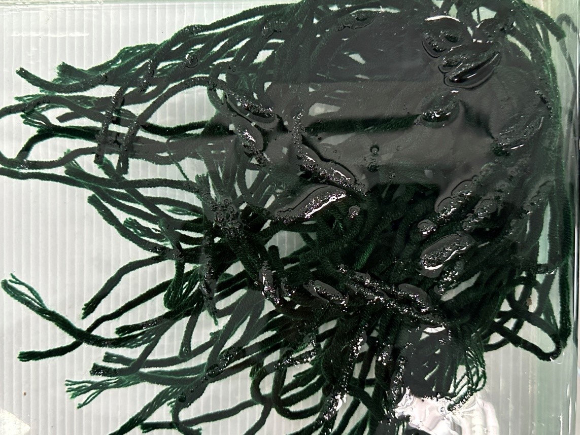 置於水中的毛線拖把,有如水生植物一般