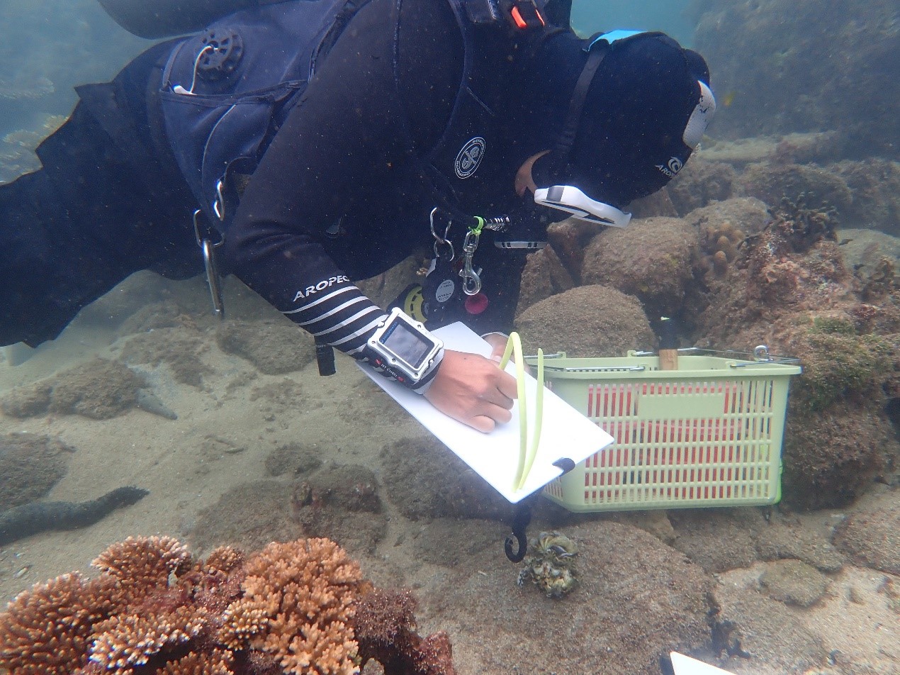 圖3、海域移植與記錄作業