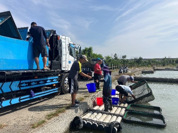 活魚車運輸作業