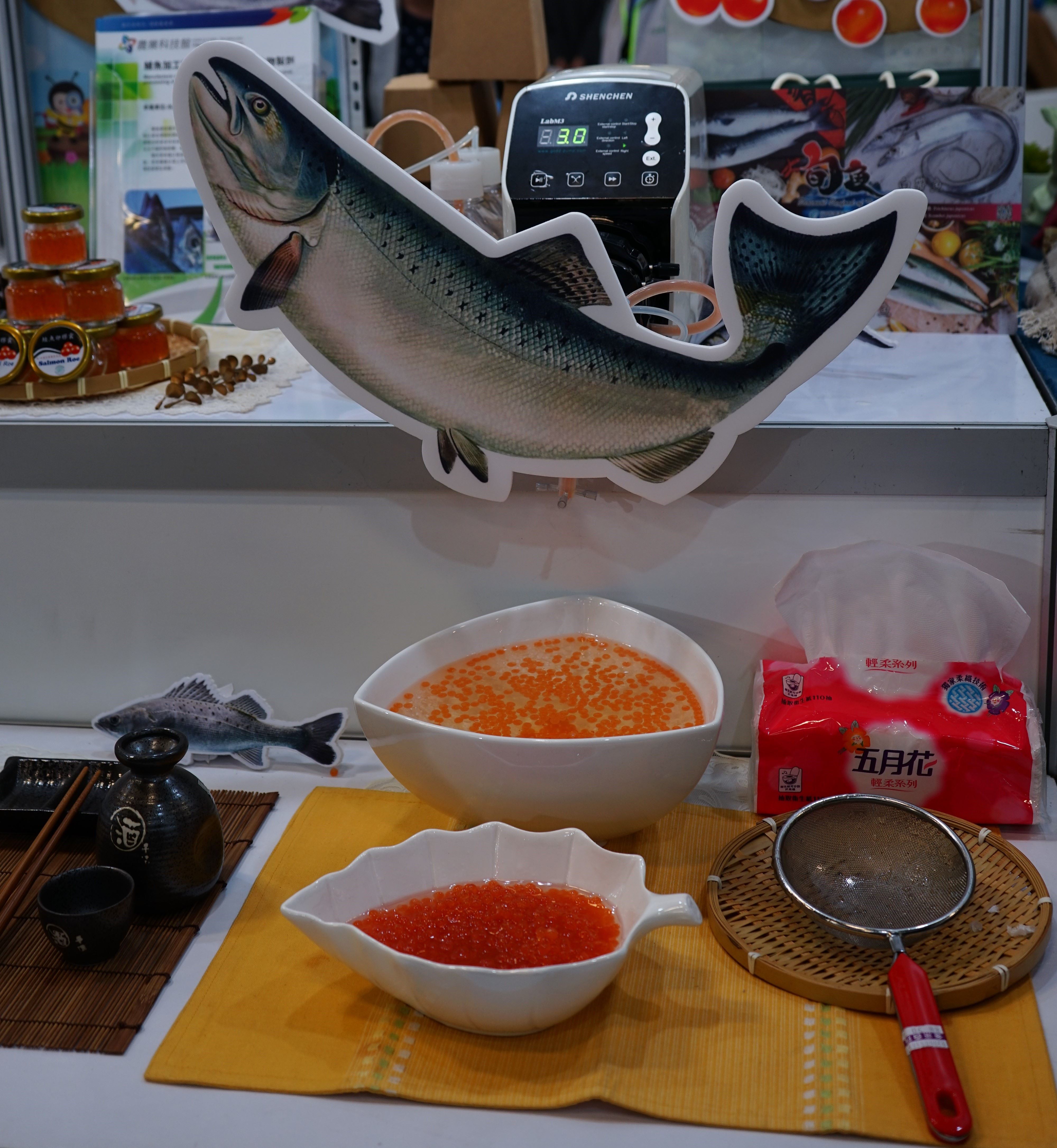 圖三、本所特別將「仿魚卵膠囊」實驗儀器攜至現場與參觀者互動