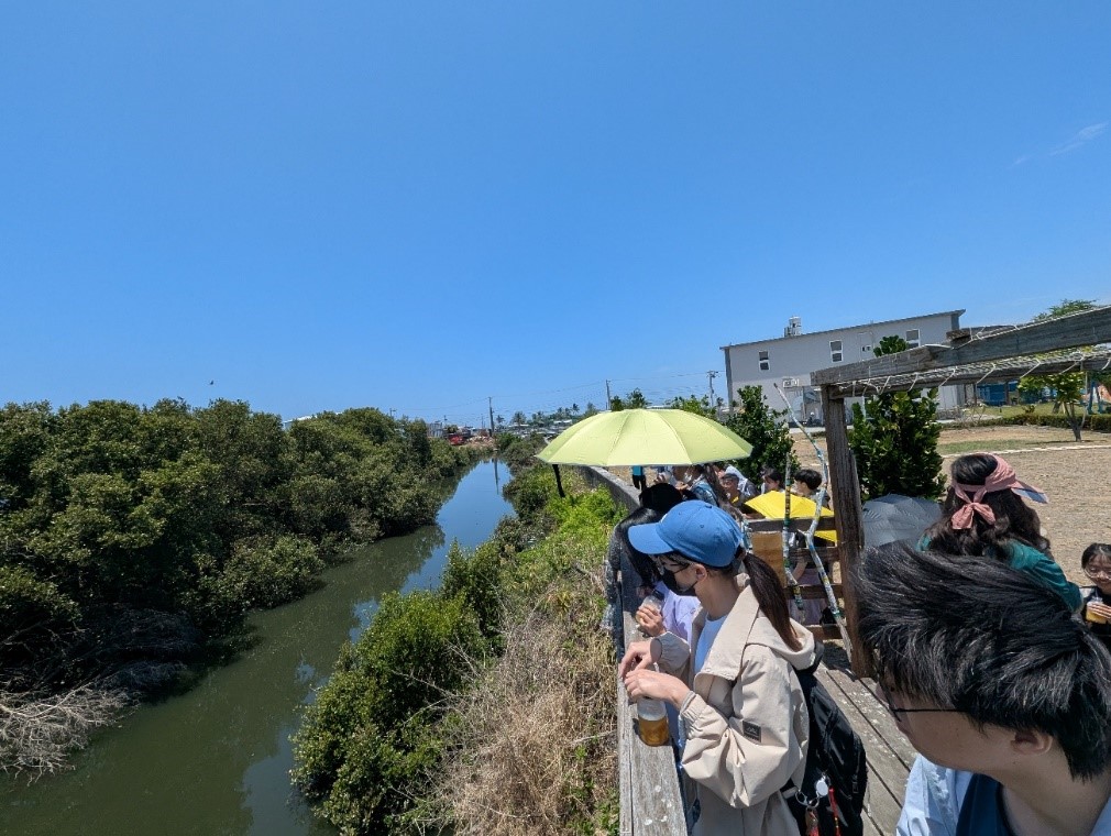 涵養的生態課題必須因地制宜，新龍社區成功地讓海洋生物幼生棲地、水質淨化與養殖產業在此地共存共榮