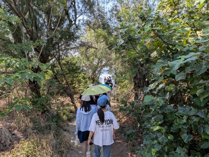 穿越海岸復育林，走向海口海洋藍碳重要棲地