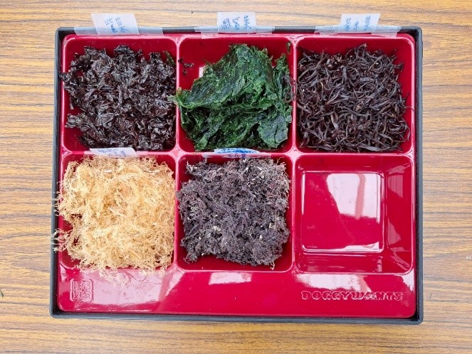 本所提供觀察、觸摸之藻類樣本 (上排左起:紫菜、綠紫菜、茶米菜;下排:二種不同乾燥階段的石花菜)