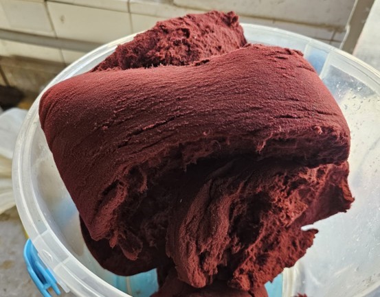 收獲後像一塊紅色海綿(右)