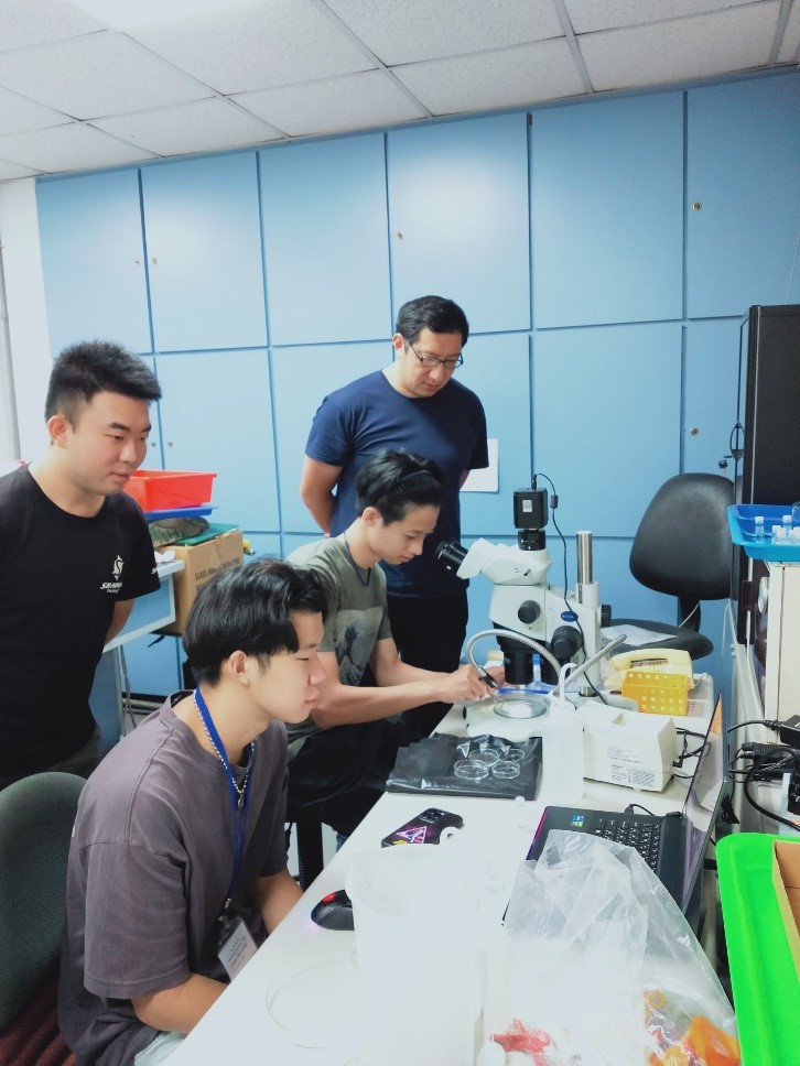 圖1、操作解剖顯微鏡(茬家續 攝)