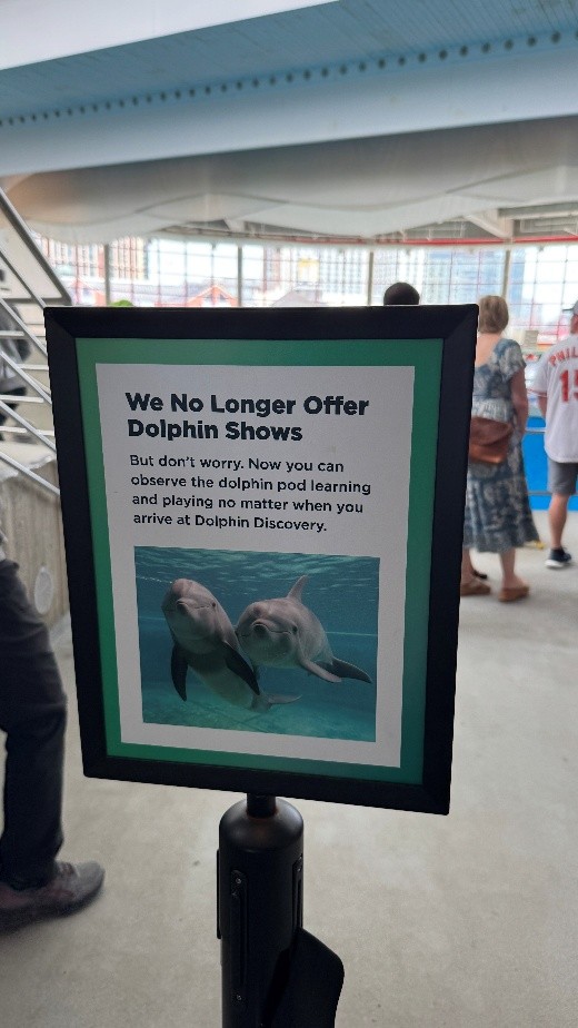 館方公告基於動物福利不再進行海豚餵食，並公布後續野放計畫的規劃與進度