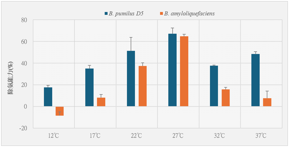 圖3、二株芽孢桿菌在不同溫度下的除氨能力(%)