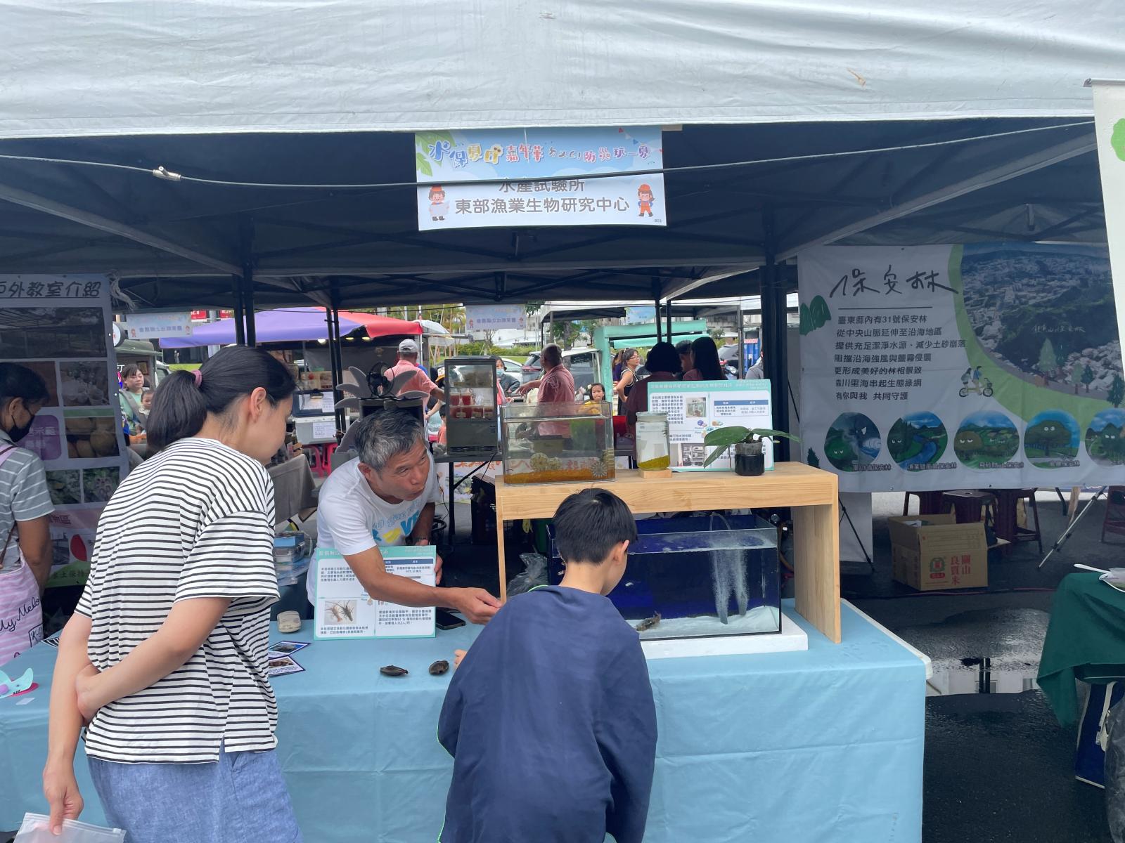 展示小丑魚及仙后水母等海洋生物,吸引民眾近距離觀察
