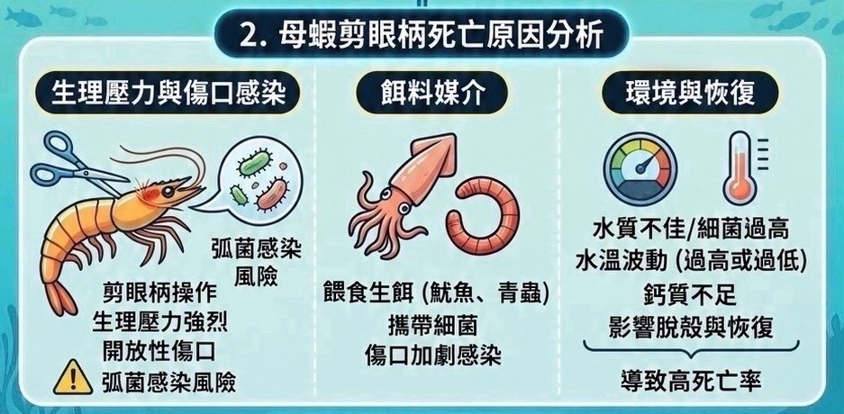 2.母蝦剪眼柄死亡原因分析