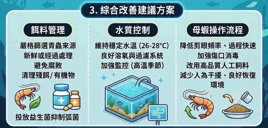 3.綜合改善建議方案
