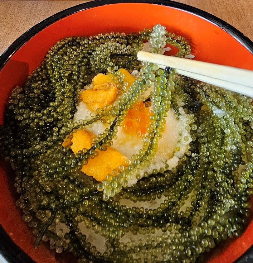 日本沖繩商業販售之長莖葡萄蕨藻
