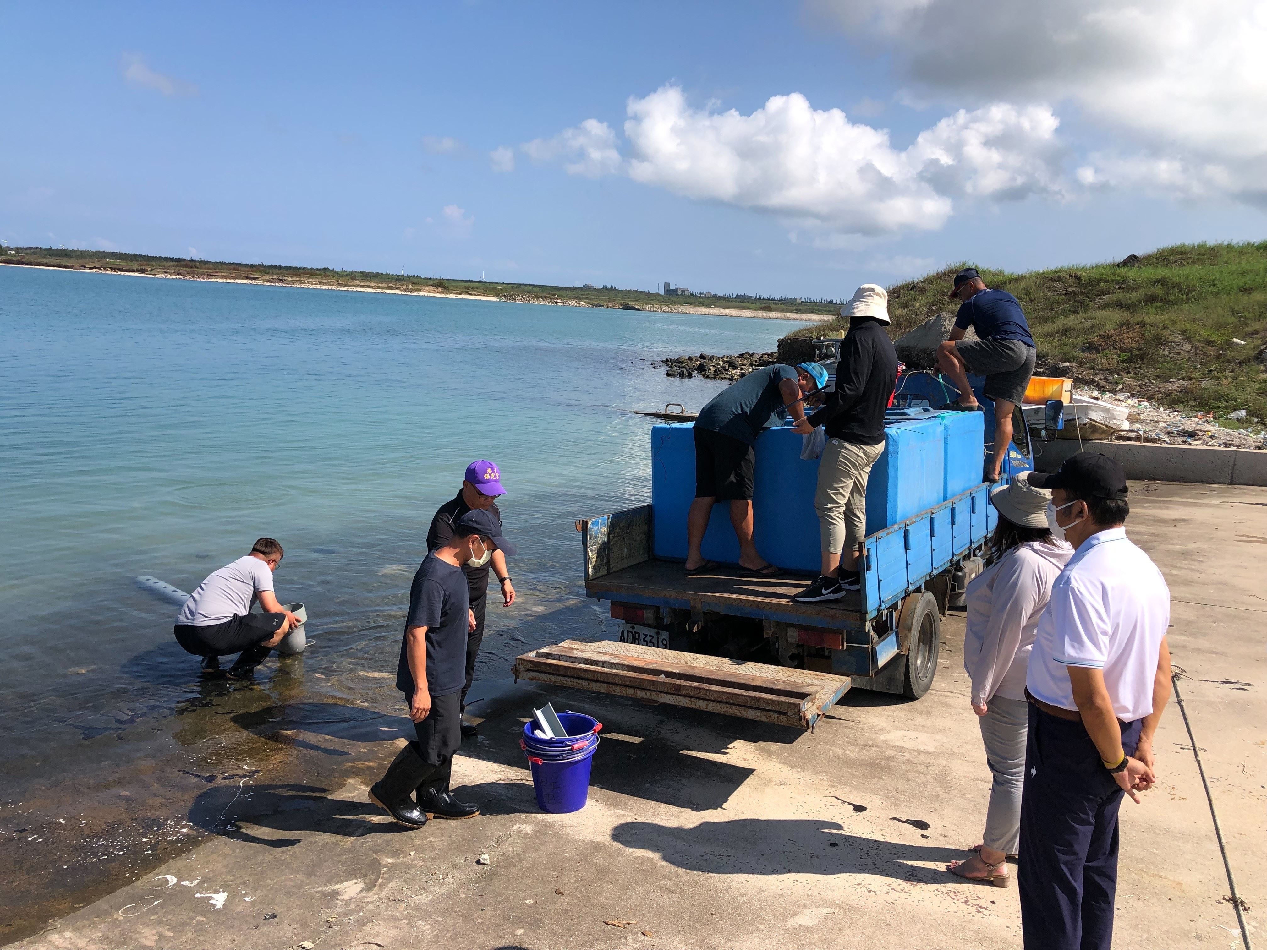 在湖西鄉紅羅村進行魚苗數量清點及放流
