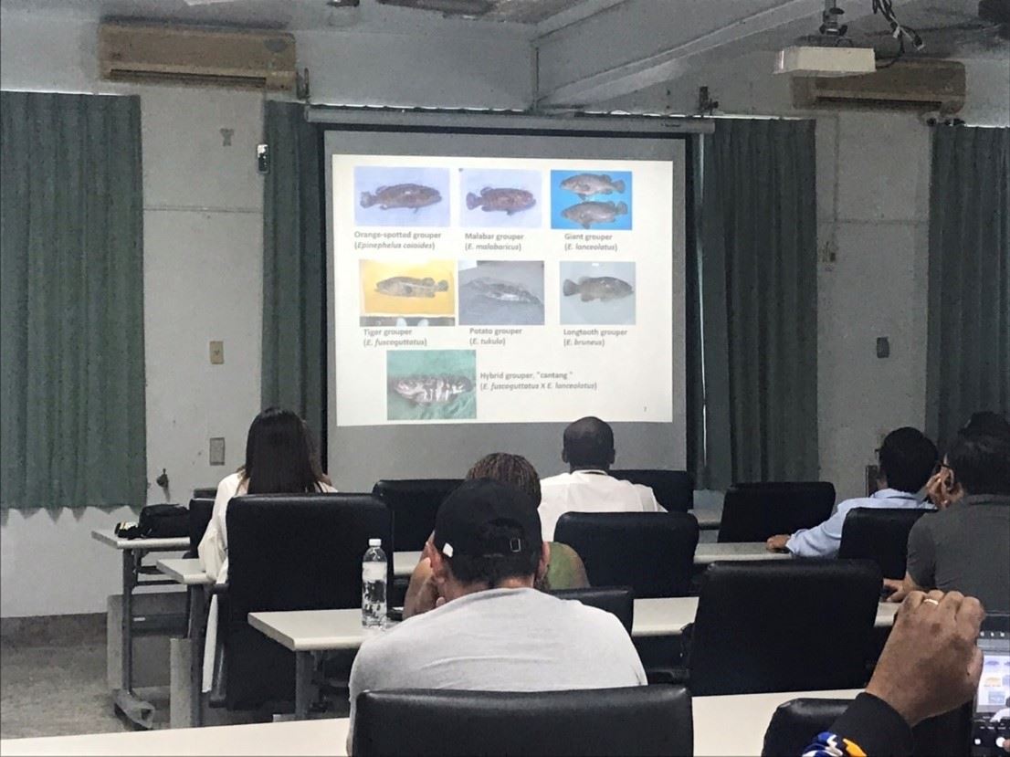 介紹臺灣的石斑魚養殖種類