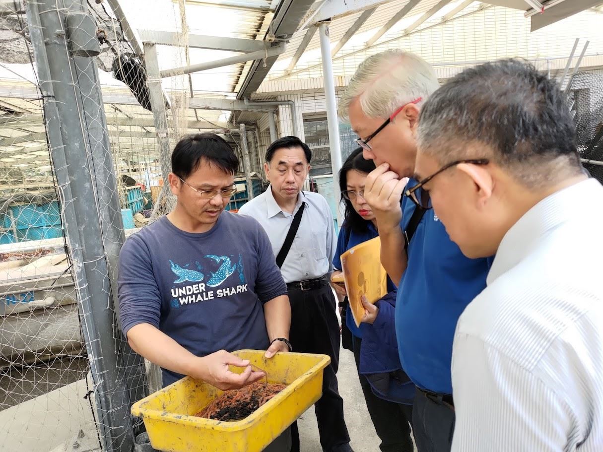 介紹沙蠶養殖技術