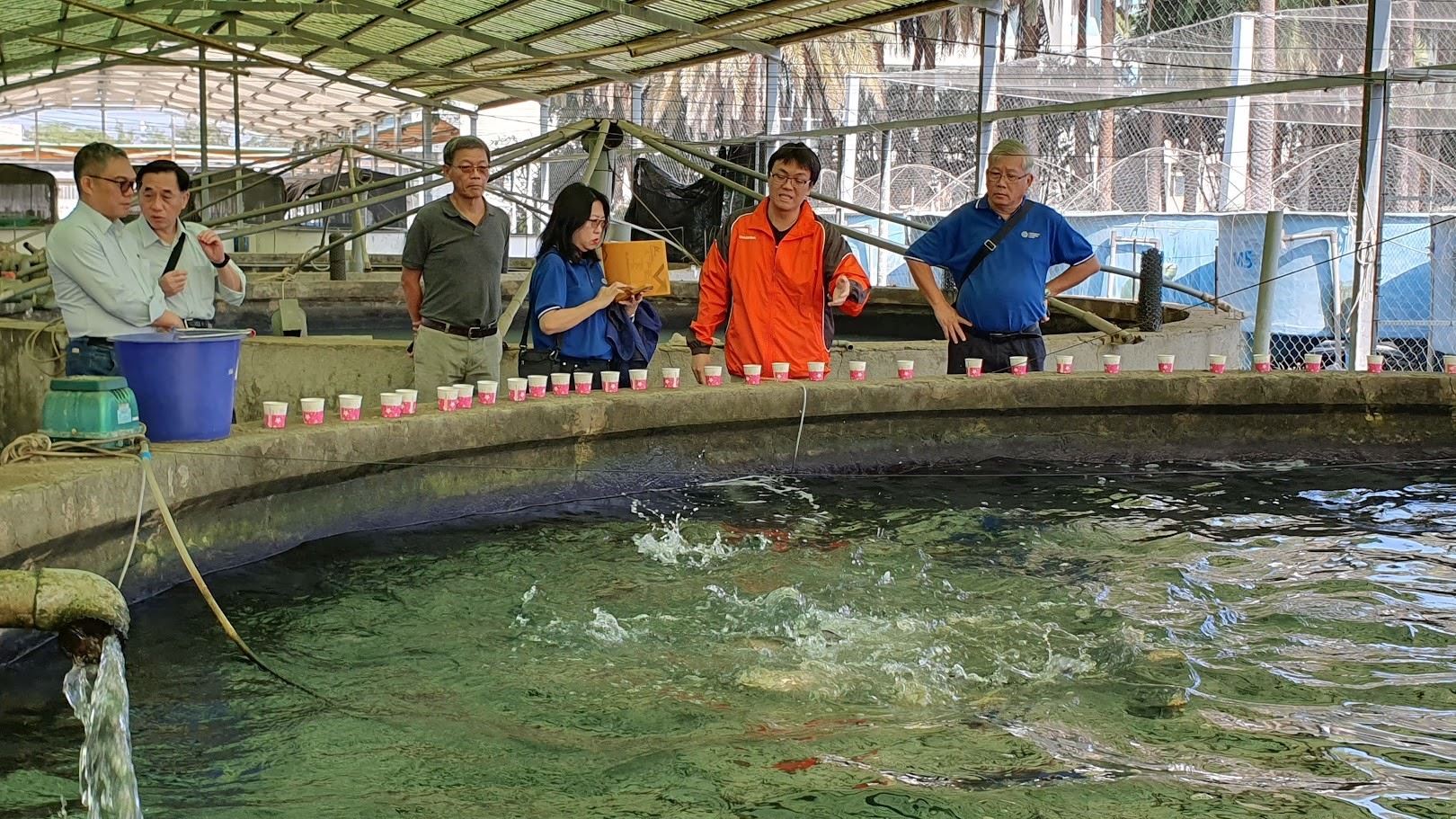 簡介各類經濟魚種養殖管理技術