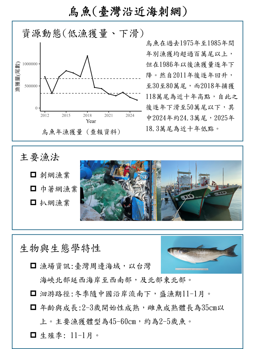 烏魚(臺灣沿近海刺網)