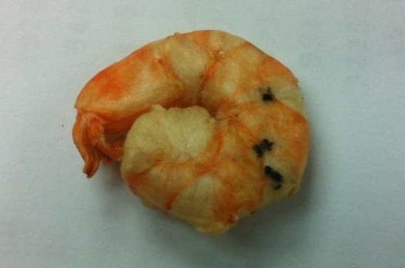 20140627水煮後草蝦仁黑變