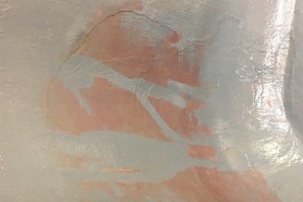 20160502光合成菌