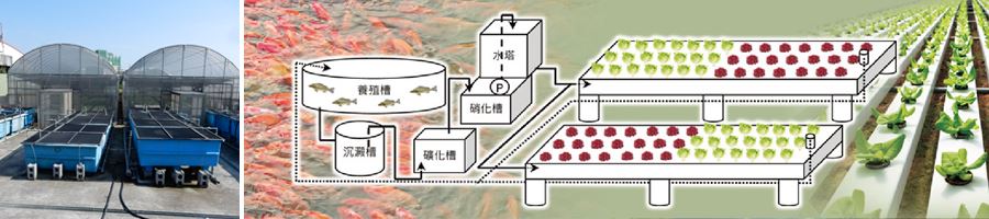 友善生態環境養殖模式圖