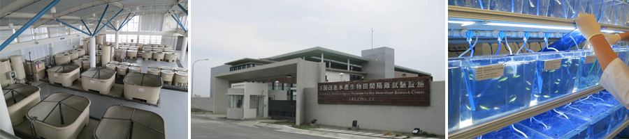 基因改造水產生物田間隔離試驗設施