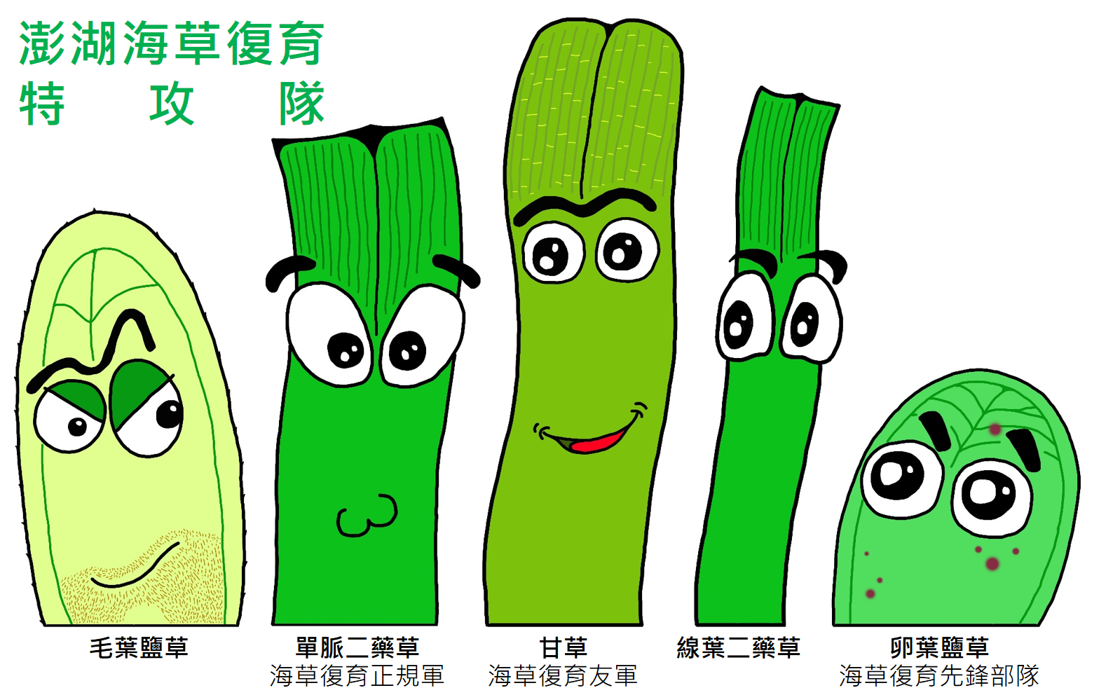 澎湖海草復育特攻隊
